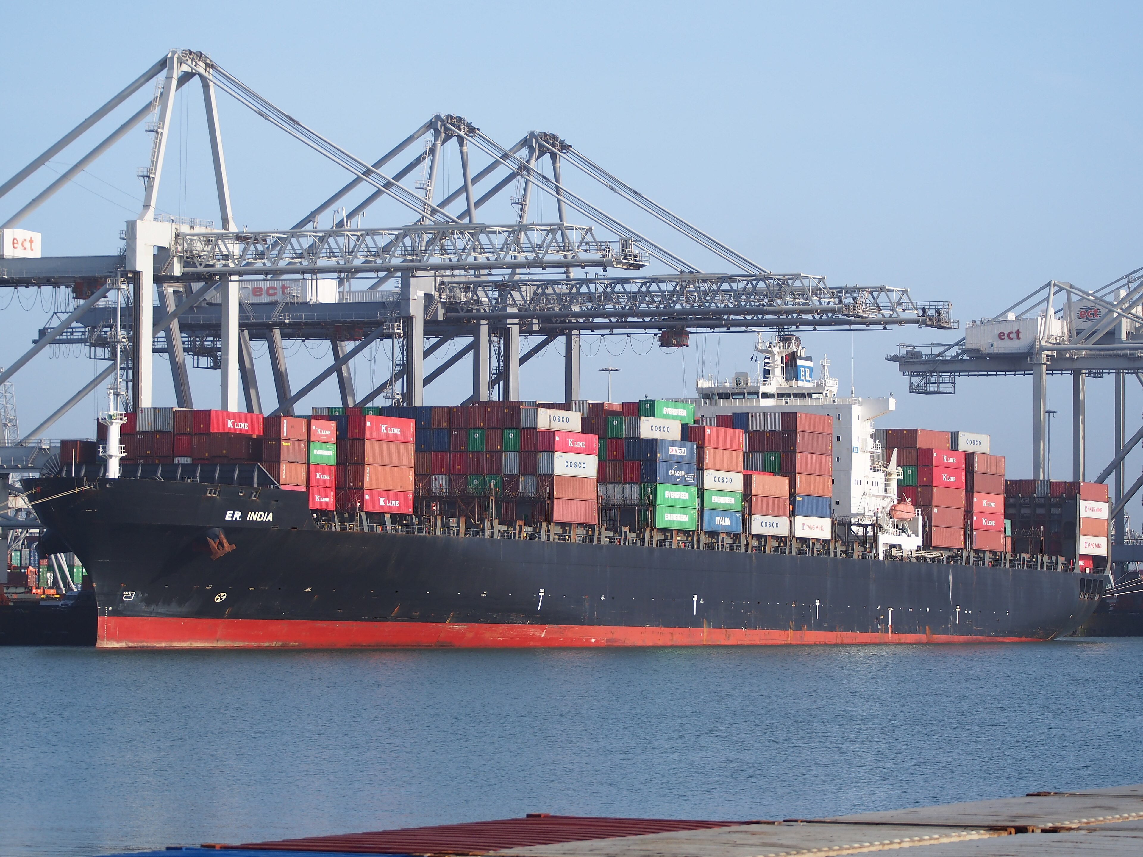 Thames Departure: MSC INDIA           