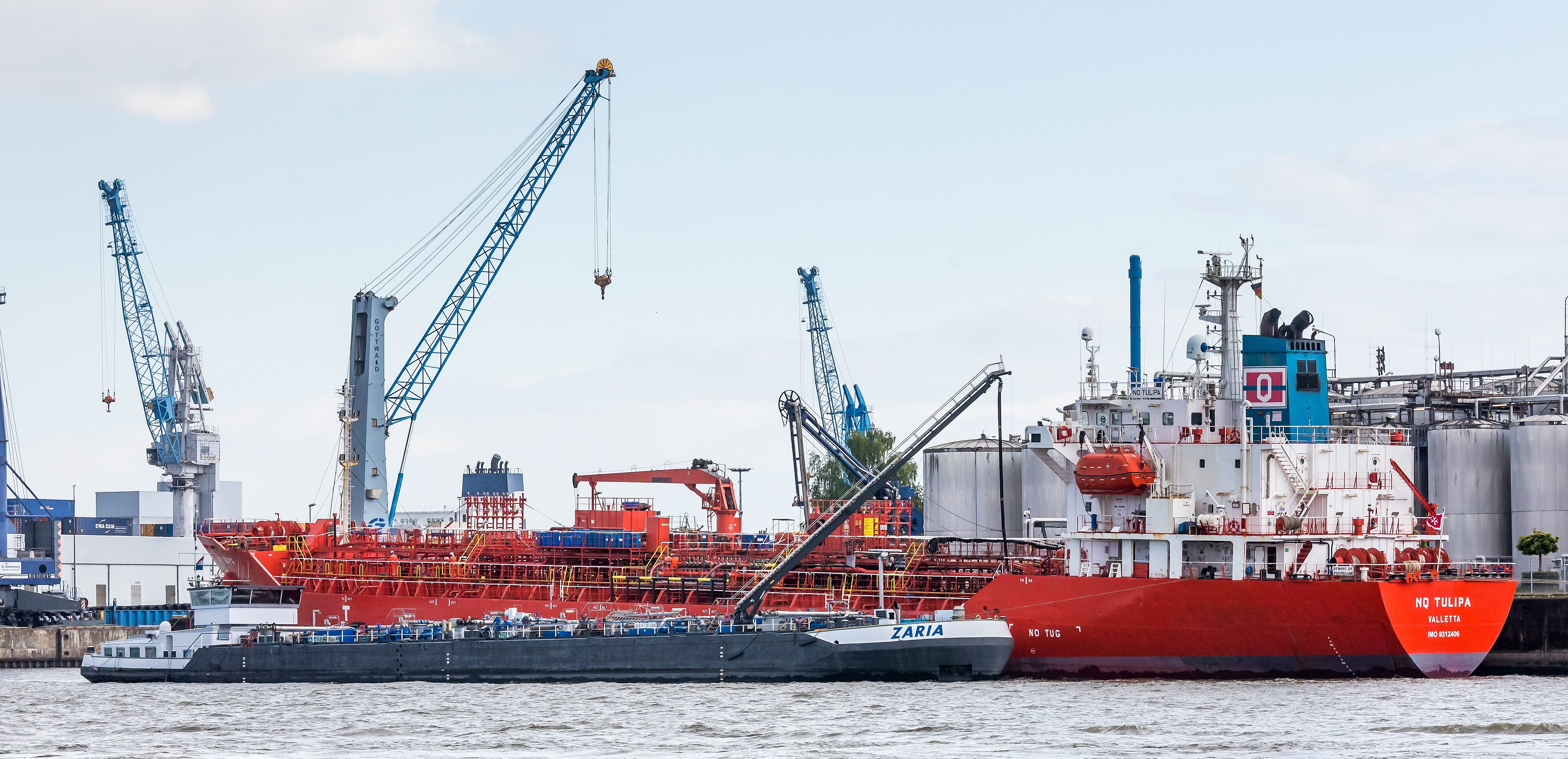 Mersey Arrival: NQ TULIPA