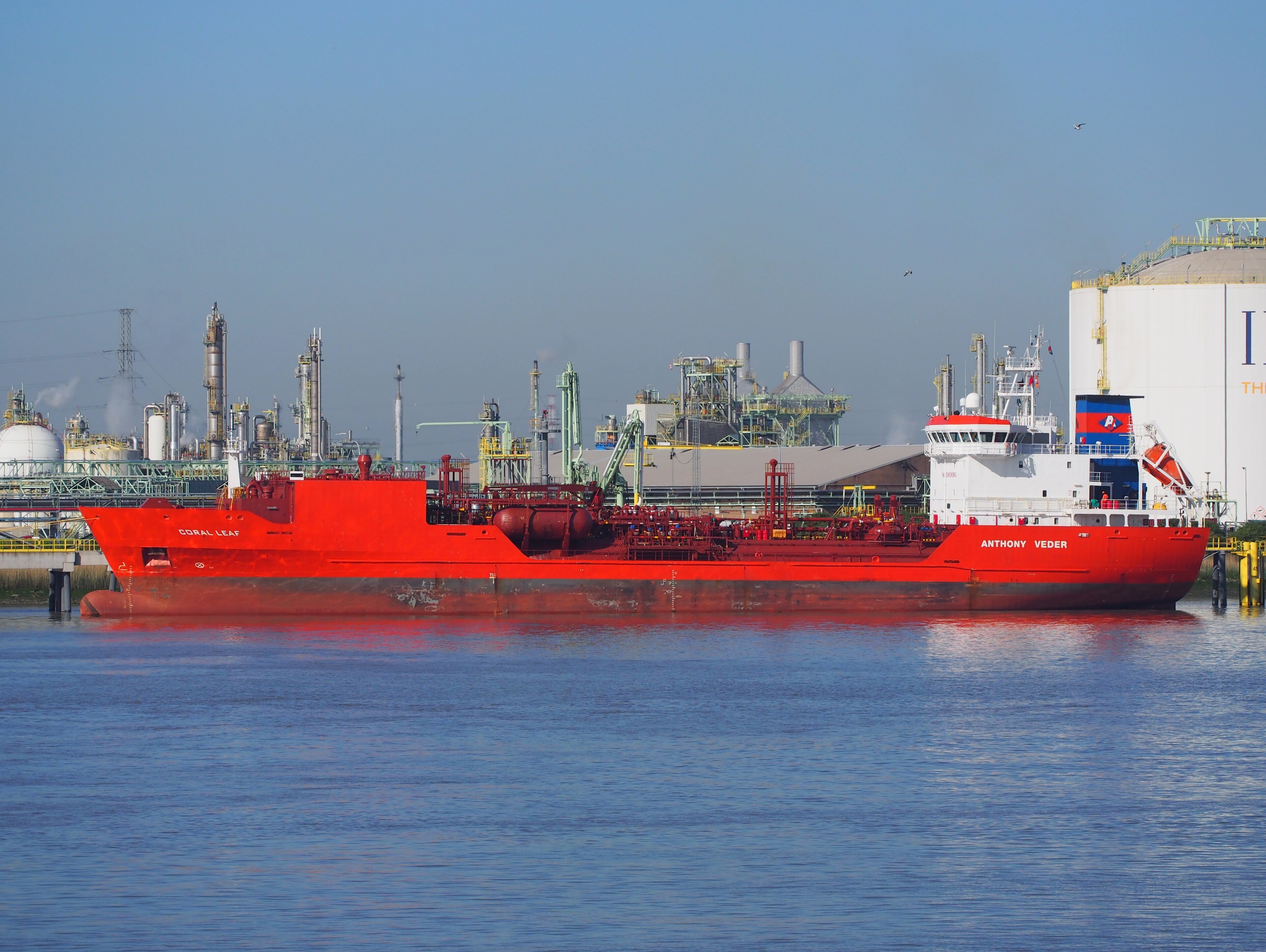 Transit: CORAL LEAF           entering English South Coast at The Dover Strait