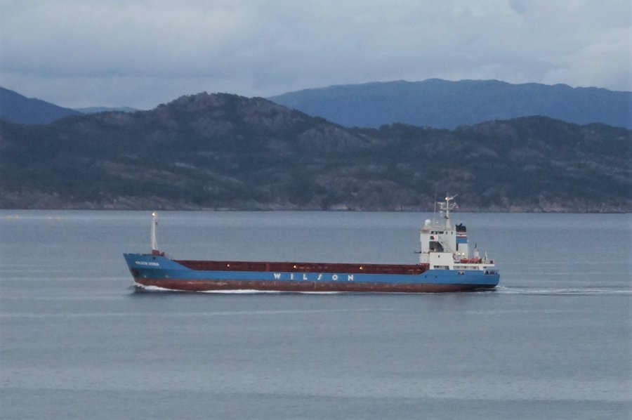 Belfast Arrival: WILSON DVINA        