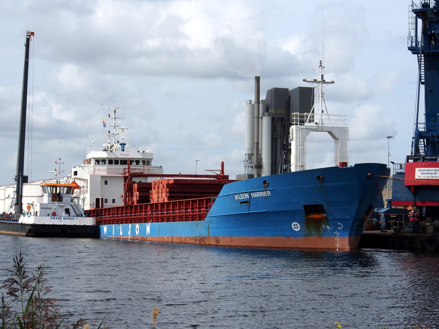 Scottish East Coast - WILSON HARRIER       transiting Dornoch Firth Coast