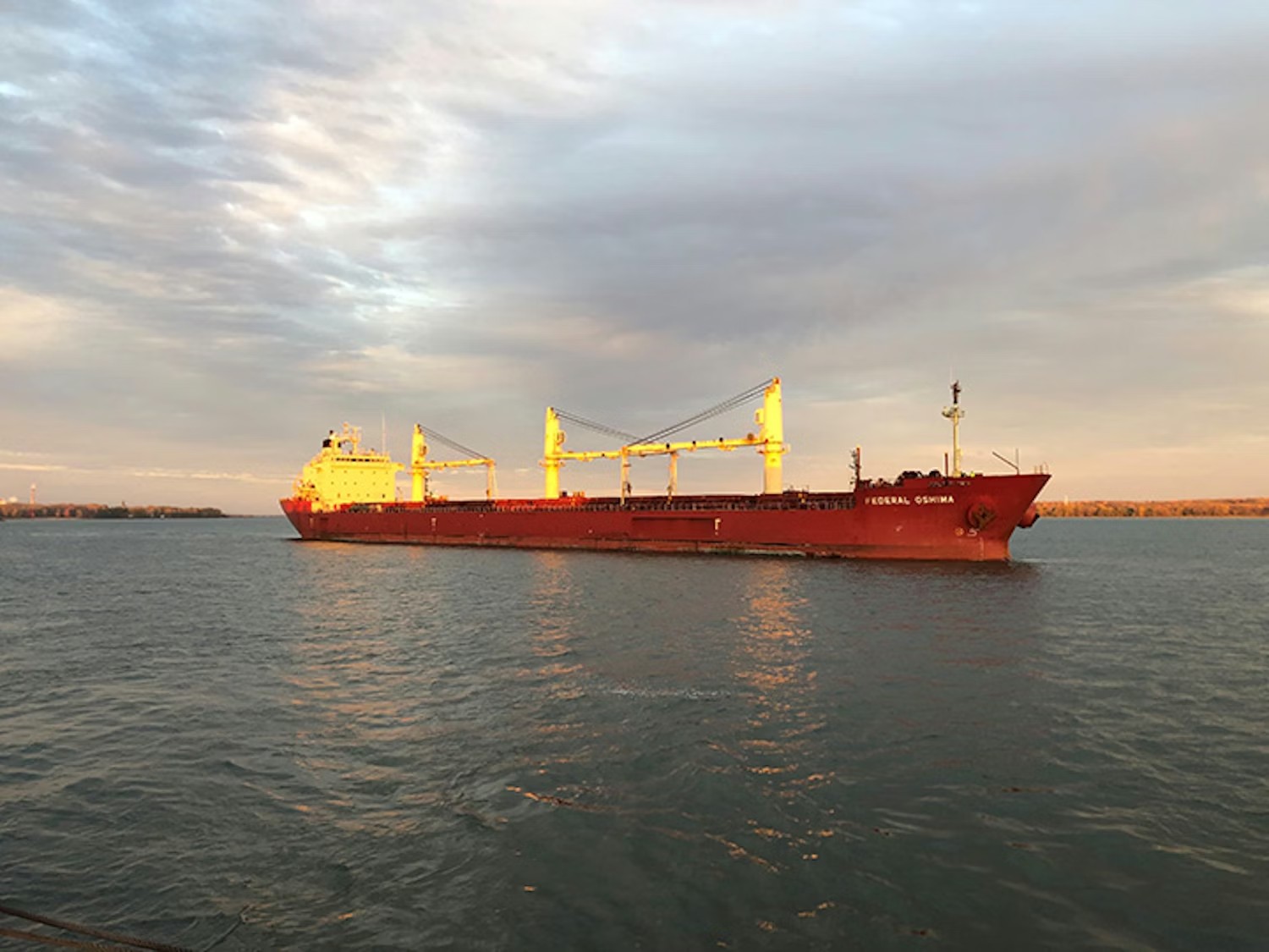 Transit: FEDERAL OSHIMA       entering English South Coast at The Dover Strait