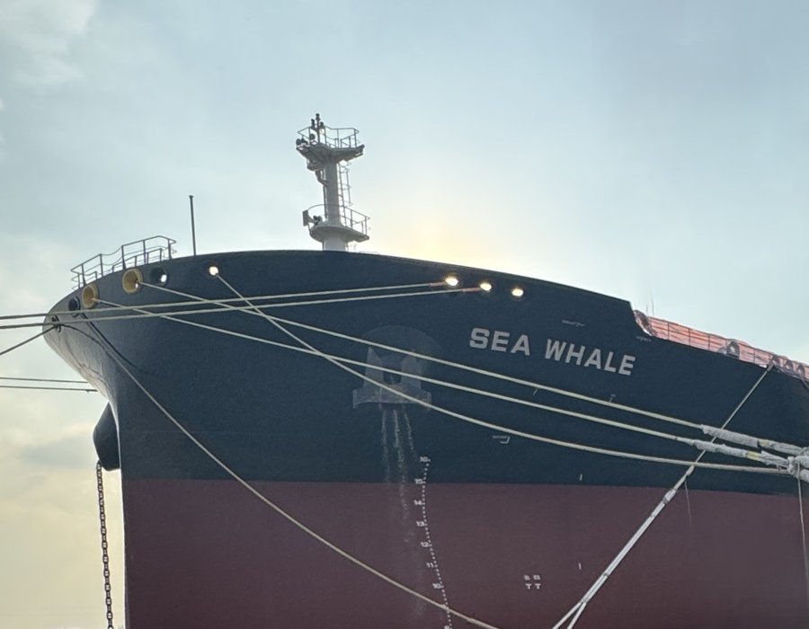  Celtic Sea - SEA WHALE            transiting Celtic Sea