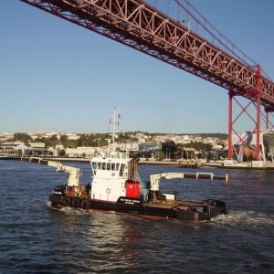 Southampton Arrival: PUFFIN ISLAND       