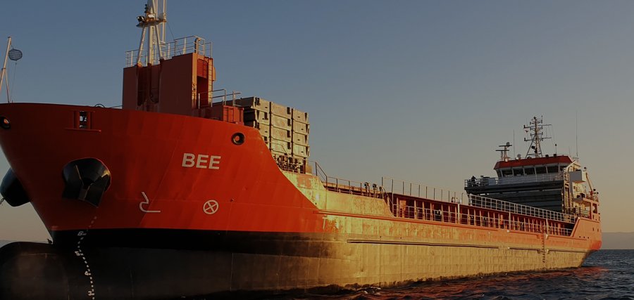 Bristol Channel Arrival: BEE                 