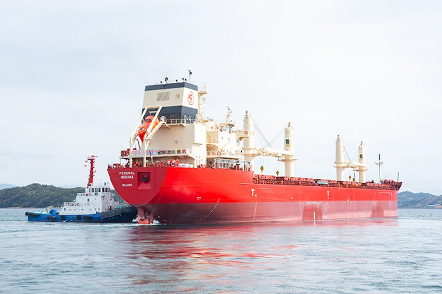 Photograph of the Bulk Carrier (Handysize / Great Lakes Fitted): FEDERAL INDIANA (IMO: 9975387). Documented in UK and Regional Shipping Movements.